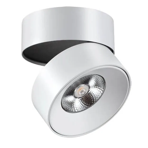 Накладной точечный светильник LUX ImperiumLoft 167283-26 LUX01