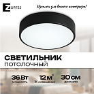 Потолочный светильник Zortes ZRS.02563.36 TORTTY