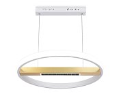 Подвесной светодиодный светильник с пультом Ambrella light FL51488