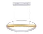 Подвесной светодиодный светильник с пультом Ambrella light FL51488