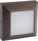 Настенный светильник уличный Oasis Light W4021 R  
