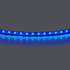 Лента цветного свечения 24V, синий Lightstar 420515