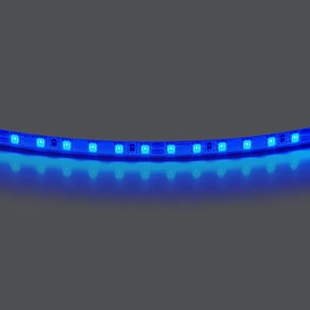 Лента цветного свечения 24V, синий Lightstar 420515 Лента цветного свечения 24V, синий Lightstar 420515