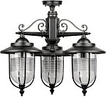 Потолочный светильник уличный Oasis Light 84770A 3 02 Bl TITAN
