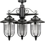 Потолочный светильник уличный Oasis Light 84770A 3 02 Bl TITAN