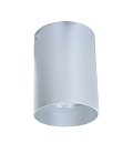 Накладной светильник Lumina Deco LDC 8053-A SS-D85*H115 SL Flixton