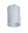 Накладной светильник Lumina Deco LDC 8053-A SS-D85*H115 SL Flixton
