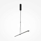 Подвесной светильник Maytoni P096PL-L11BK Supersymmetry