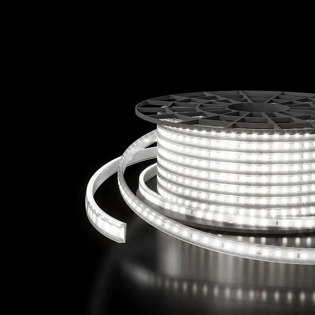 Лента светодиодная Elektrostandard LS011 220V a053653