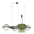 Подвесной светильник Loft IT 10121/3 Dark grey Jardin