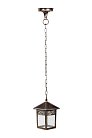 Уличный светильник подвесной Oasis Light 87305A Gb