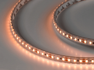 Светодиодная лента DesignLed DSG3120-12-WW-65 LUX