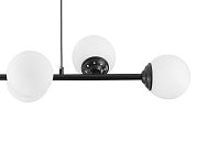 Подвесной светильник Lampit Fino Lumina Deco TP 2002-6 BK
