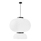 Светильник подвесной черный/белый D450*H480mm E27 2*60W Evoluce SLE6021-513-02 LYKKE