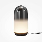 Настольный светильник Maytoni MOD488TL-L8B3K Fable