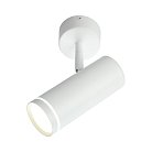 Светильник настенно-потолочный Omnilux OML-102219-12 Deruta
