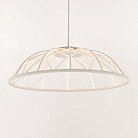 Подвесной светильник Cloyd 11411 Cocklico