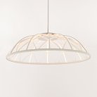 Подвесной светильник Cloyd 11411 Cocklico