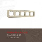Рамка из поликарбоната на 5 постов Arte Milano 505.05-5.shampan am