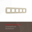 Рамка из поликарбоната на 5 постов Arte Milano 505.05-5.shampan am