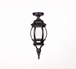 Потолочный светильник уличный Oasis Light 83405SA Bl AMERICA S