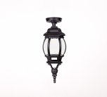 Потолочный светильник уличный Oasis Light 83405SA Bl AMERICA S