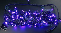 Гирлянда Rich LED RL-T20C2-B/V