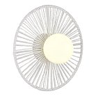 Светильник настенный Evoluce SLE6022-501-01 LOOM
