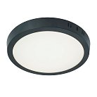 Светодиодный светильник Feron 51075 AL504