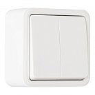 Выключатель двухклавишный проходной (на 2 направления), 10AX 250V Arte Milano 310.32-2.white am