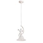Светильник Подвесной Arte Lamp A1133SP-1WG AMUR