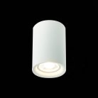 Светильник потолочный ST LUCE ST114.507.01 ST114