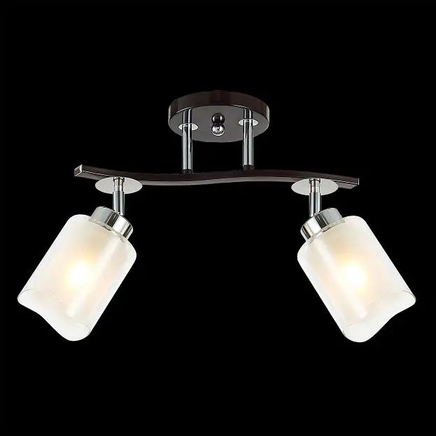 Потолочный светильник Citilux CL156122 Фортуна