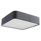 Потолочный светильник Arte Lamp A7210PL-2BK Cosmopolitan