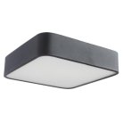 Потолочный светильник Arte Lamp A7210PL-2BK Cosmopolitan
