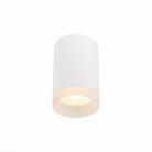 Светильник потолочный ST LUCE ST100.502.01 ST100