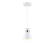 Подвесной светильник Ambrella light TR8465