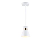 Подвесной светильник Ambrella light TR8465