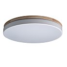 Потолочный светильник Loft It 10001/36 White Axel