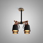 Люстра Потолочная На Штанге Natura C4 Black 151722-26 ImperiumLoft