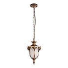 Уличные подвесные светильники Loft IT 100017P Alessano