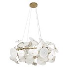 Подвесной светильник Loft IT 10234/800 Paradise