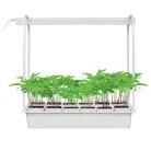 Настольная лампа для растений Uniel ULT-P34-10W/SPBR IP20 WHITE 12