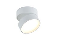 Накладной светильник Donolux DL18960R18W1W BLOOM