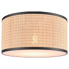 Накладной светильник VELANTE 568-717-01 568