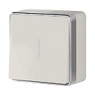 Выключатель одноклавишный с подсветкой Werkel W5010103 Gallant (слоновая кость) a051542