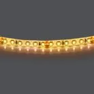 Лента теплого белого свечения 24V Lightstar 420853