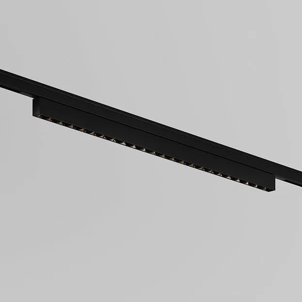 Трековый светильник Maytoni Technical TR193-1-20W2.7K-M-B Points