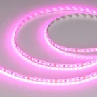 Светодиодная лента Arlight 043381 A120