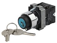 Переключатель ЭРА BSW80-BG-2-K02E